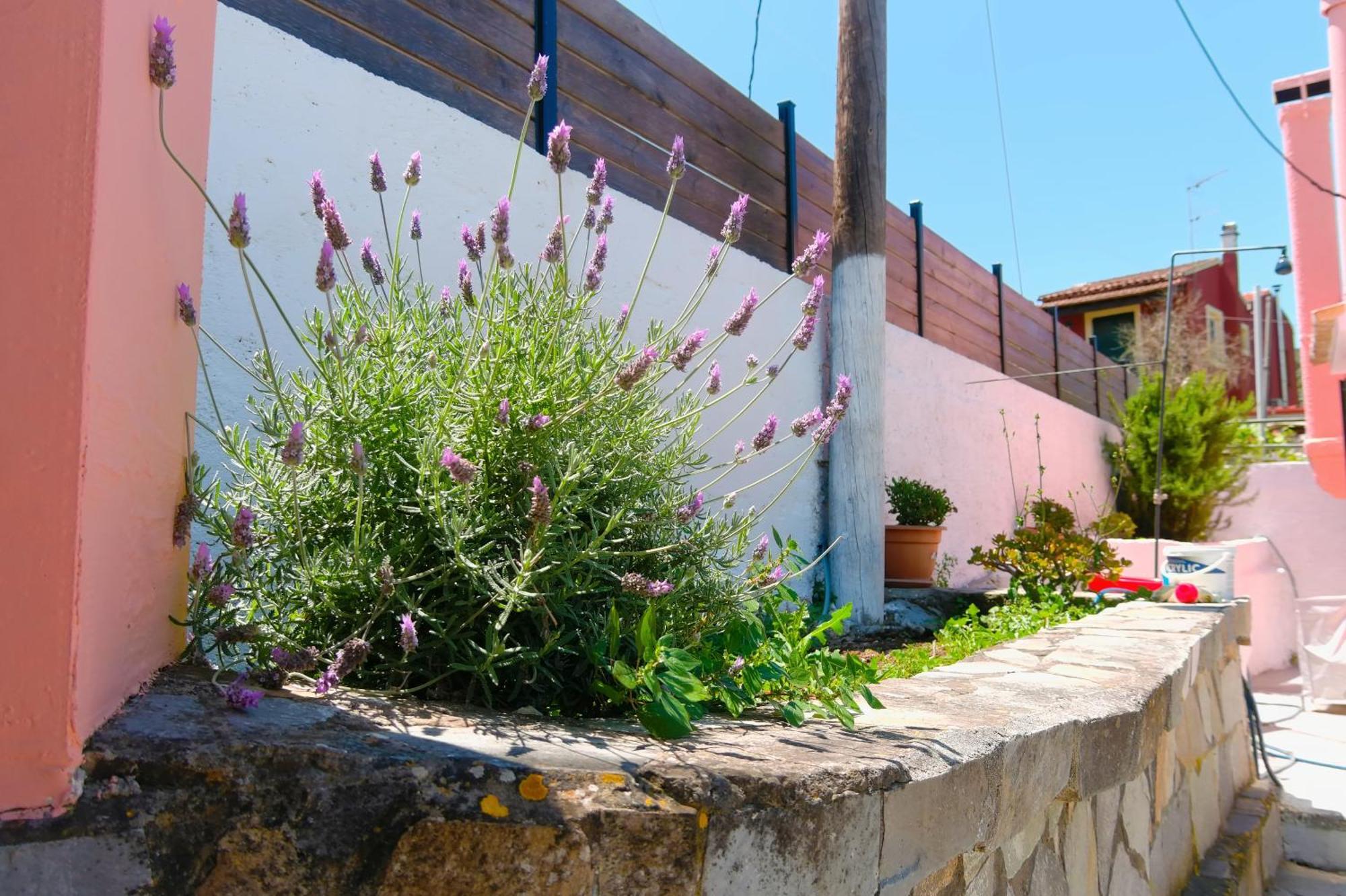 Family Country House-corfu Holidays Tatil Evi *